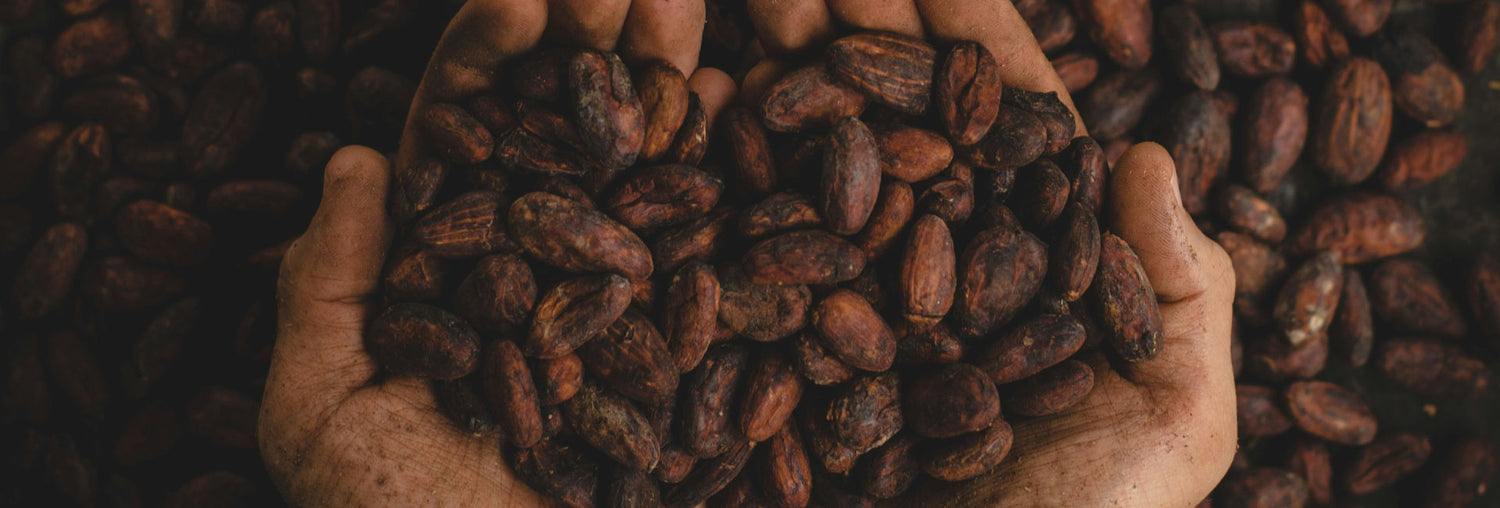 benefits of cacao